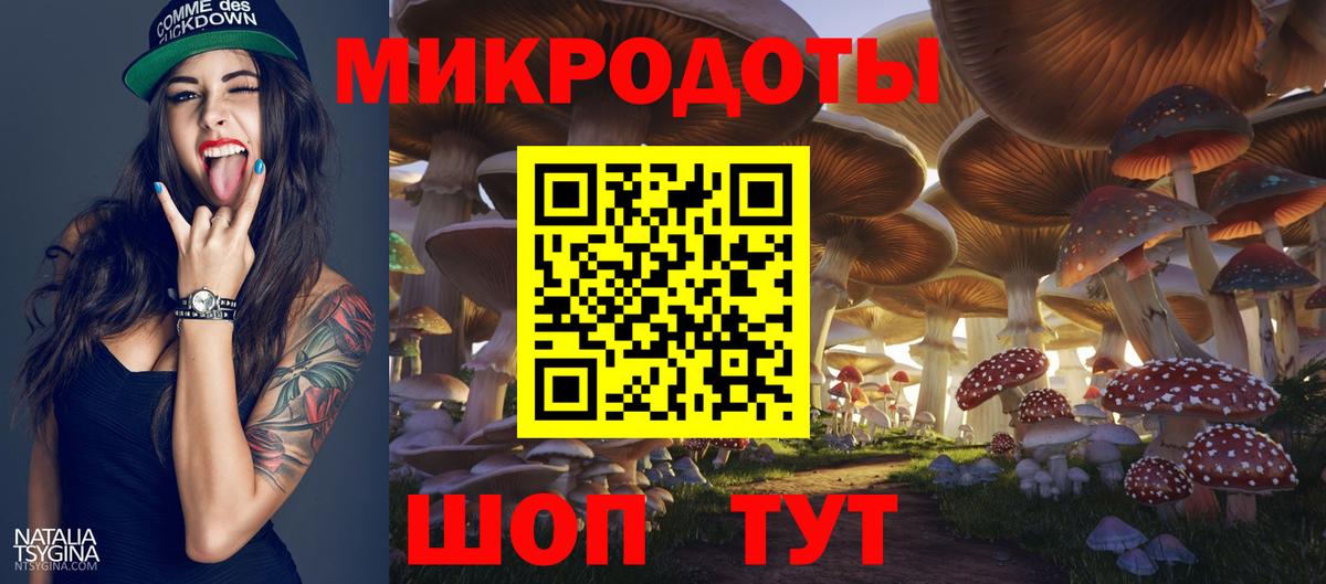 Псилоцибиновые грибы GOLDEN TEACHER Елабуга